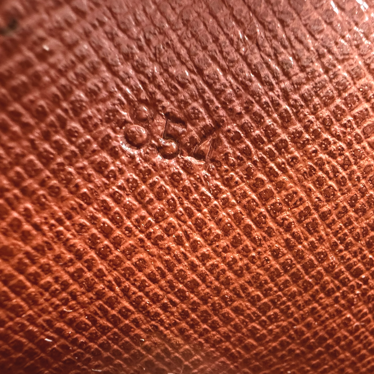 Louis Vuitton vintage toiletry