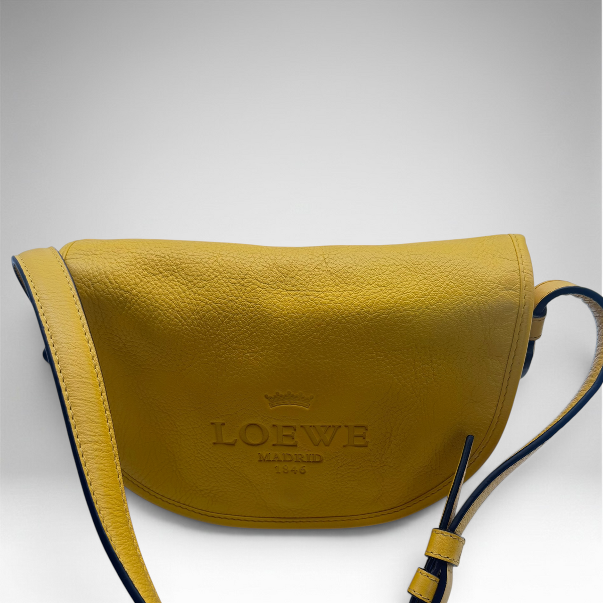 Loewe crossbody yellow