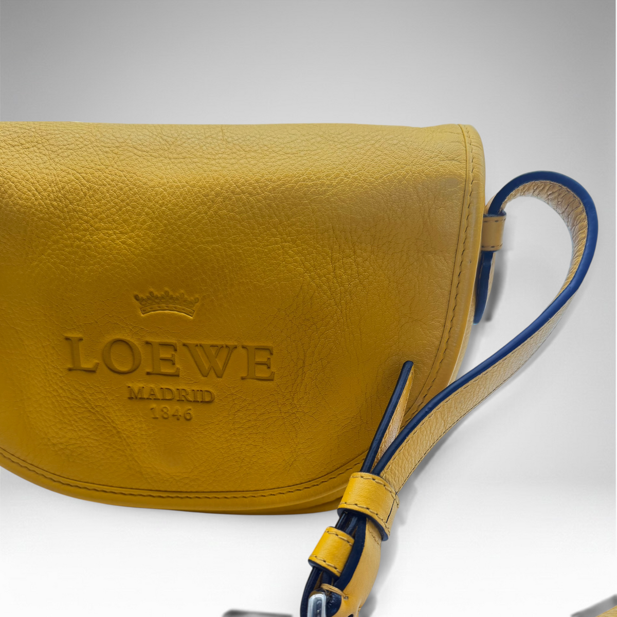 Loewe crossbody yellow