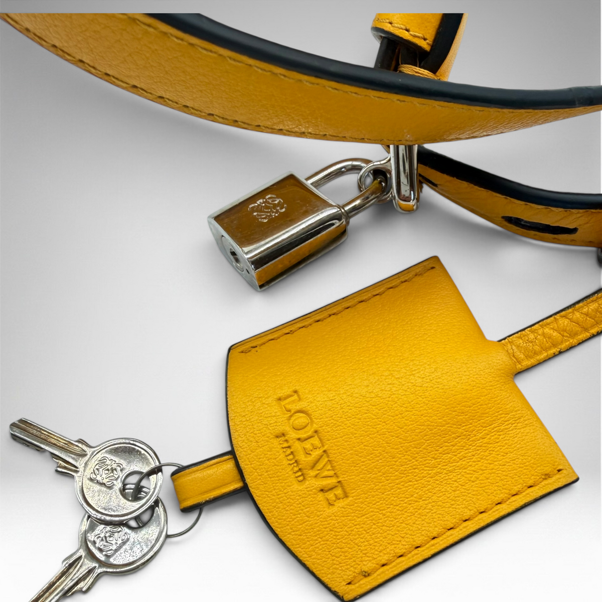 Loewe crossbody yellow