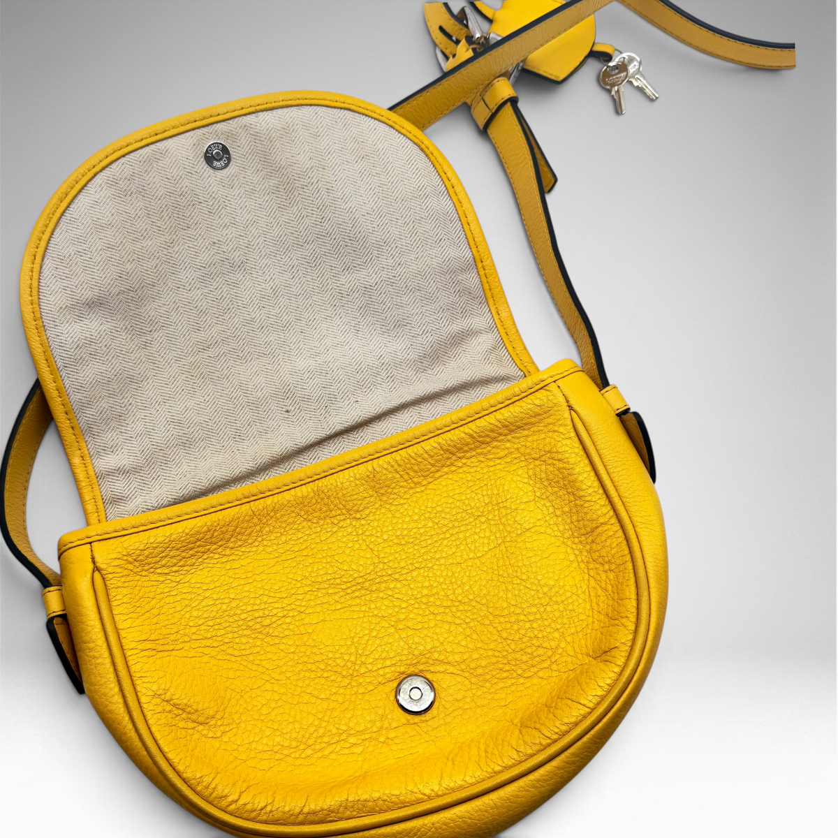 Loewe crossbody yellow