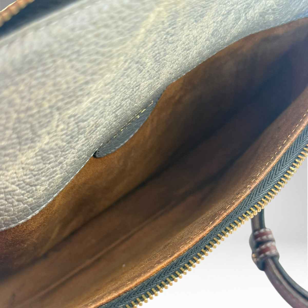 Delvaux multi color