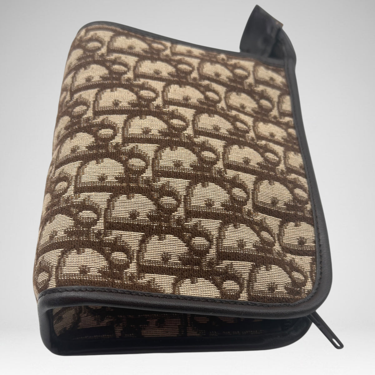 Dior makeup bag